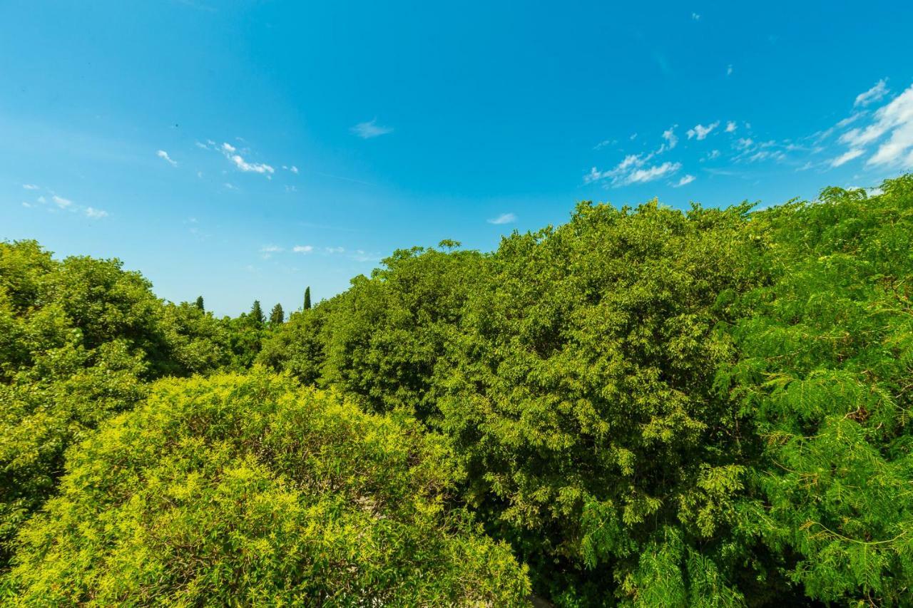 Hedera Estate, Hedera A1 Apartamento *